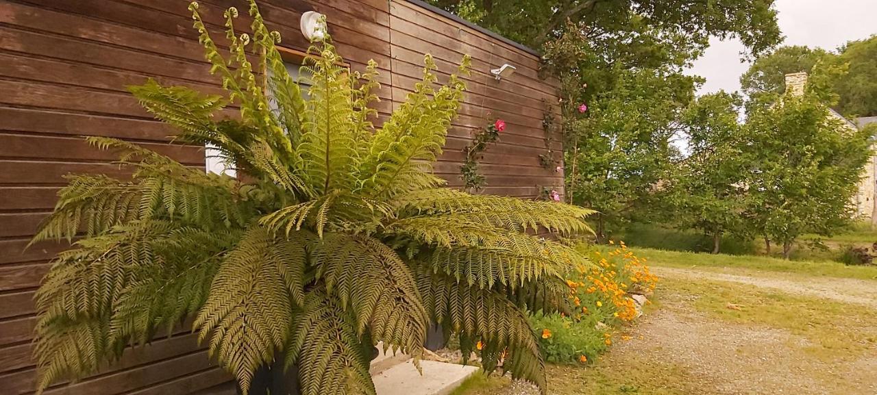 Bed and Breakfast L'Oustaou Du Bodo Ambon Exterior foto